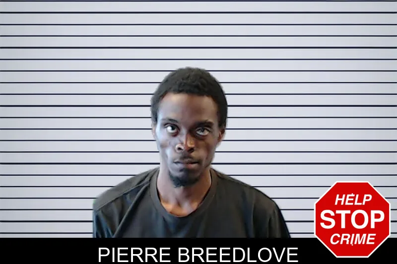 Pierre Breedlove mugshot