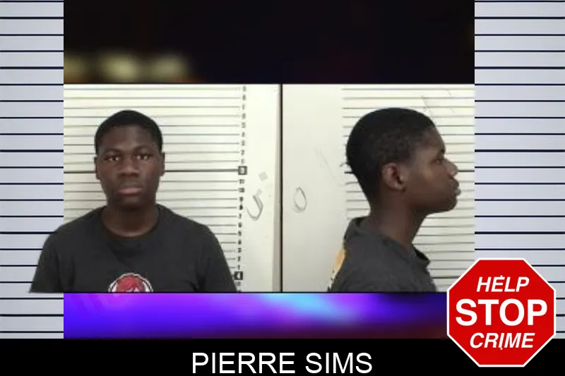 Pierre Sims mugshot