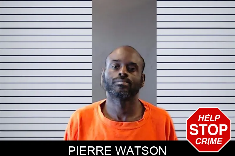 Pierre Watson mugshot