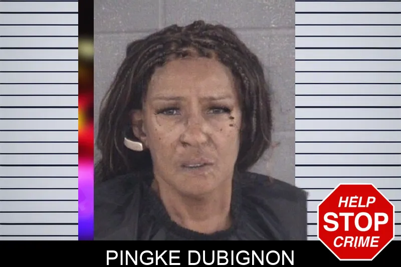 Pingke Dubignon mugshot