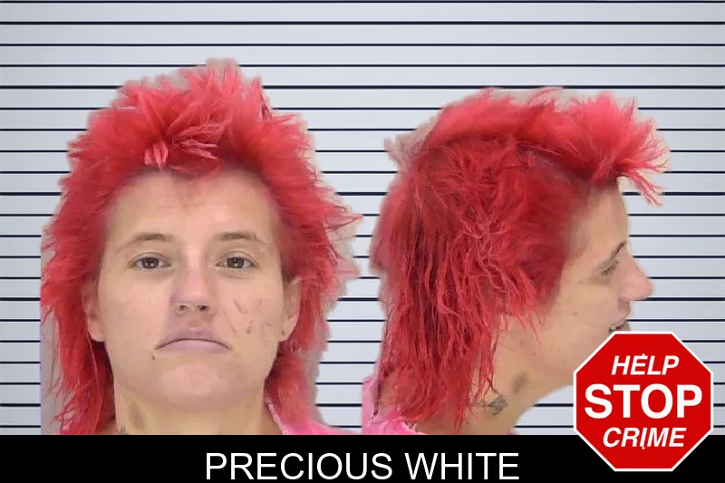 Precious White mugshot