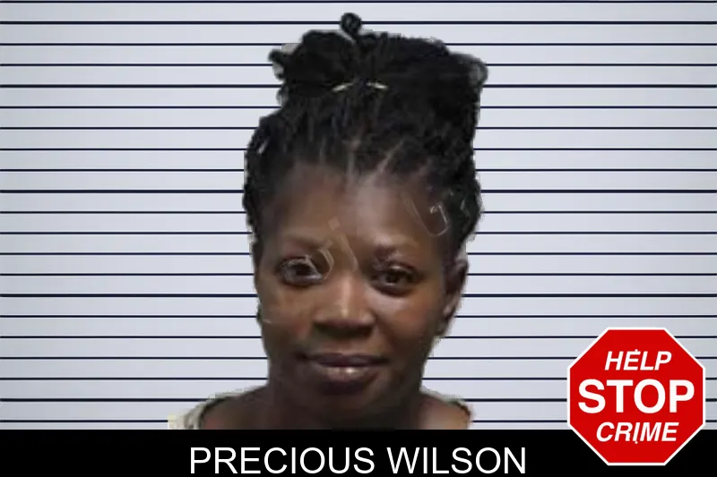 Precious Wilson mugshot