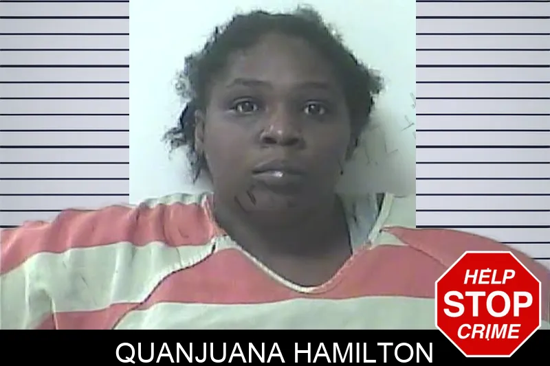Quanjuana Hamilton mugshot
