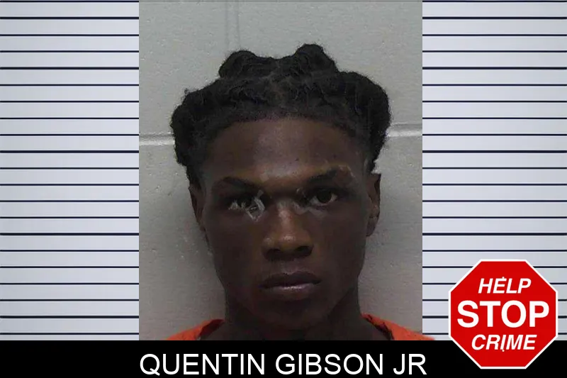 Quentin Gibson Jr mugshot