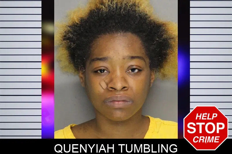 Quenyiah Tumbling mugshot – Cobb County , Georgia Quenyiah Tumbling mugshot