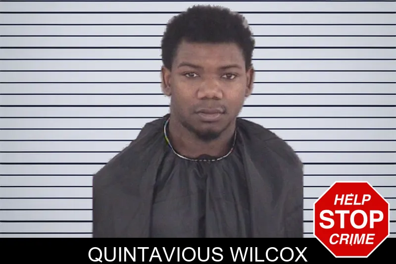 Quintavious Wilcox mugshot