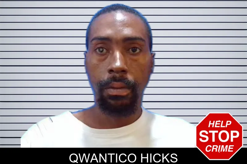Qwantico Hicks mugshot
