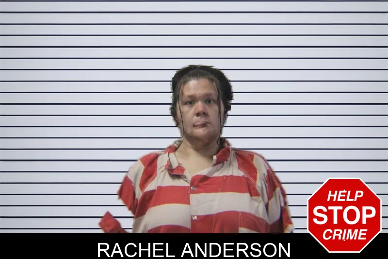 Rachel Anderson mugshot