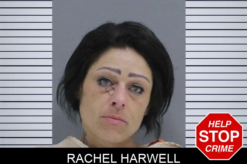 Rachel Harwell mugshot