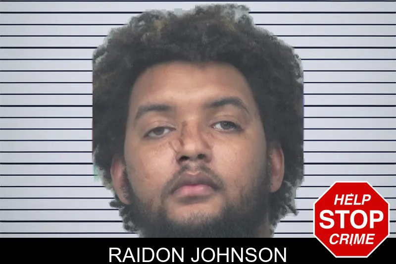 Raidon Johnson mugshot