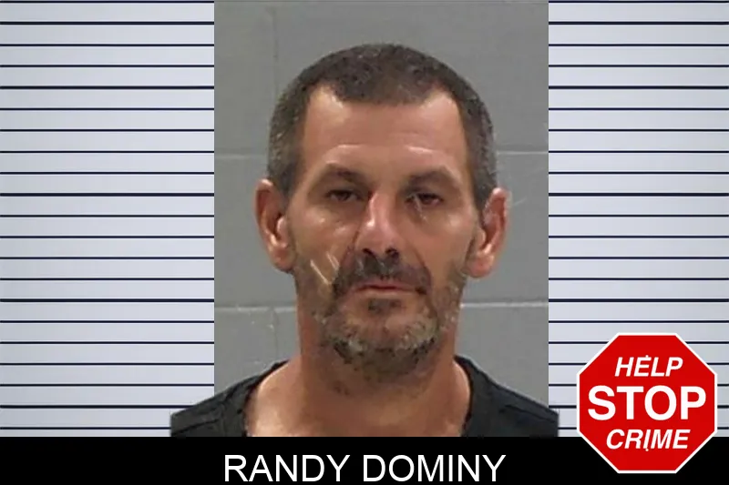 Randy Dominy mugshot