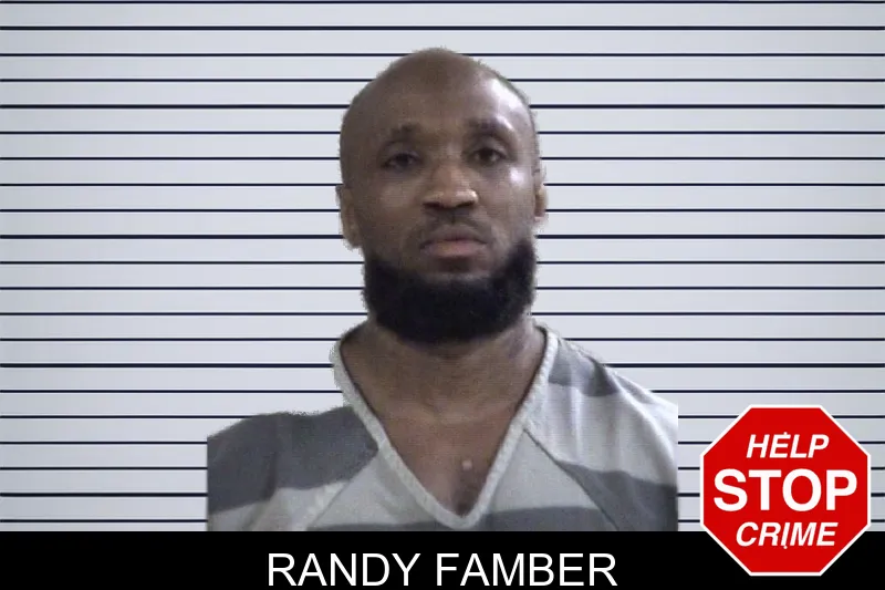 Randy Famber mugshot