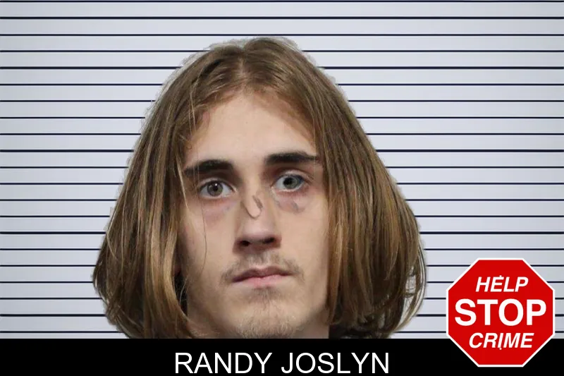 Randy Joslyn mugshot