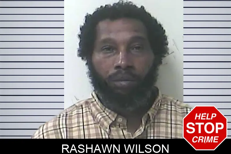 Rashawn Wilson mugshot
