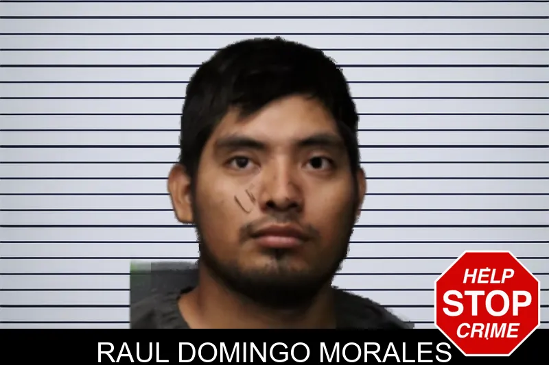 Raul Domingo Morales mugshot