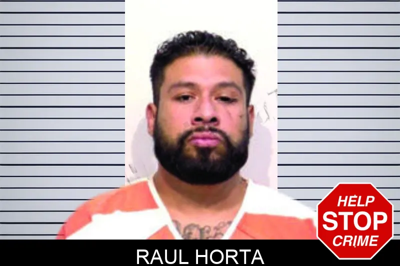 Raul Horta mugshot