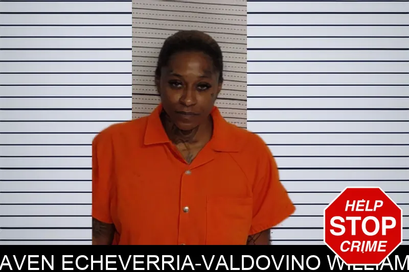 Raven Echeverria-Valdovino Williams mugshot