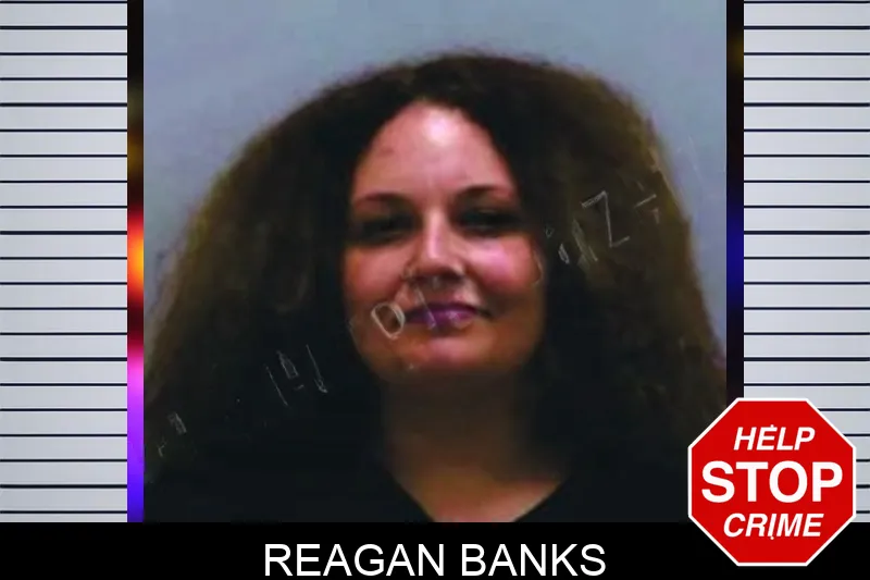 Reagan Banks mugshot