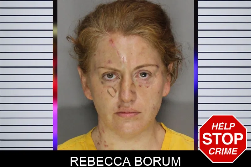Rebecca Borum mugshot