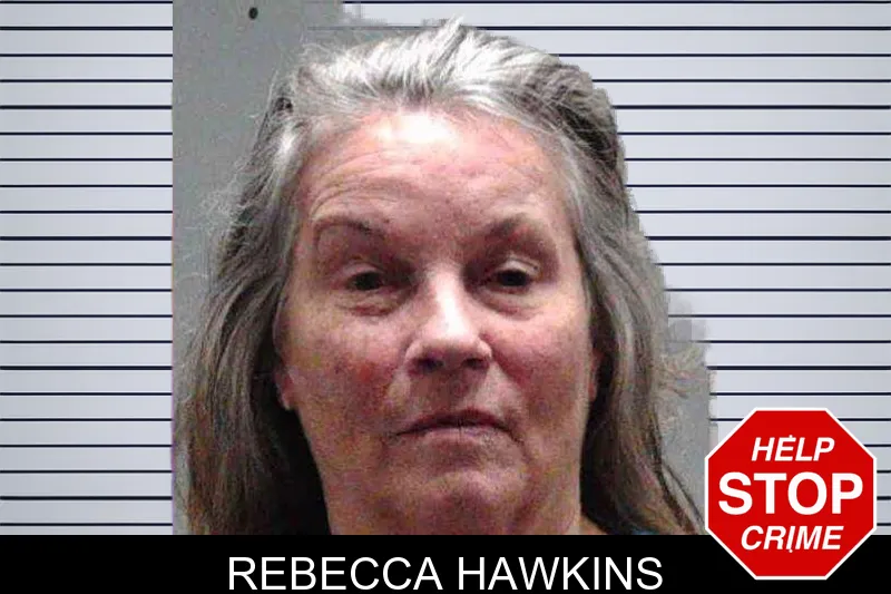 Rebecca Hawkins mugshot