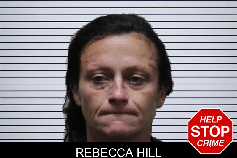 Rebecca Hill mugshot – Haralson County , Georgia Rebecca Hill mugshot