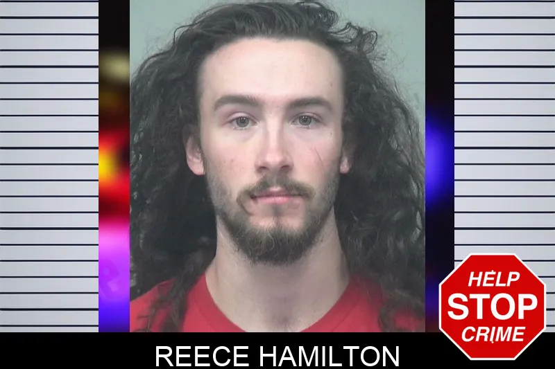 Reece Hamilton mugshot