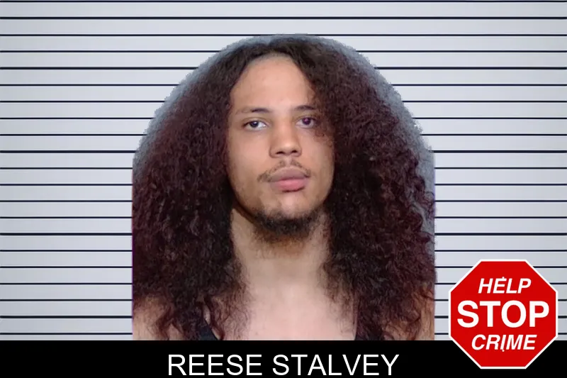 Reese Stalvey mugshot