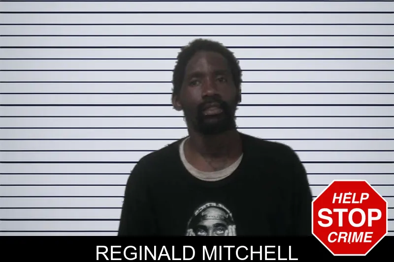 Reginald Mitchell mugshot