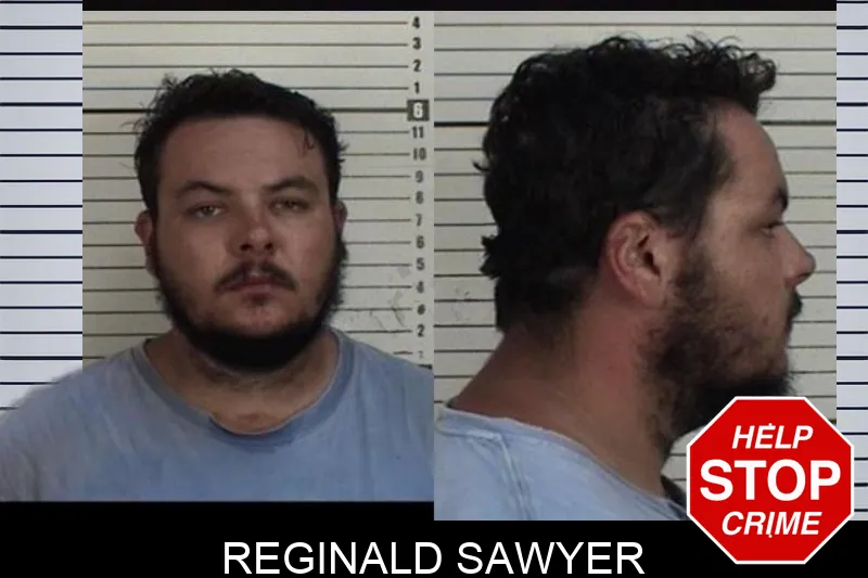 Reginald Sawyer mugshot