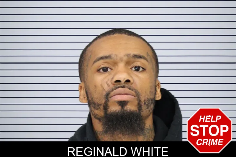 Reginald White mugshot