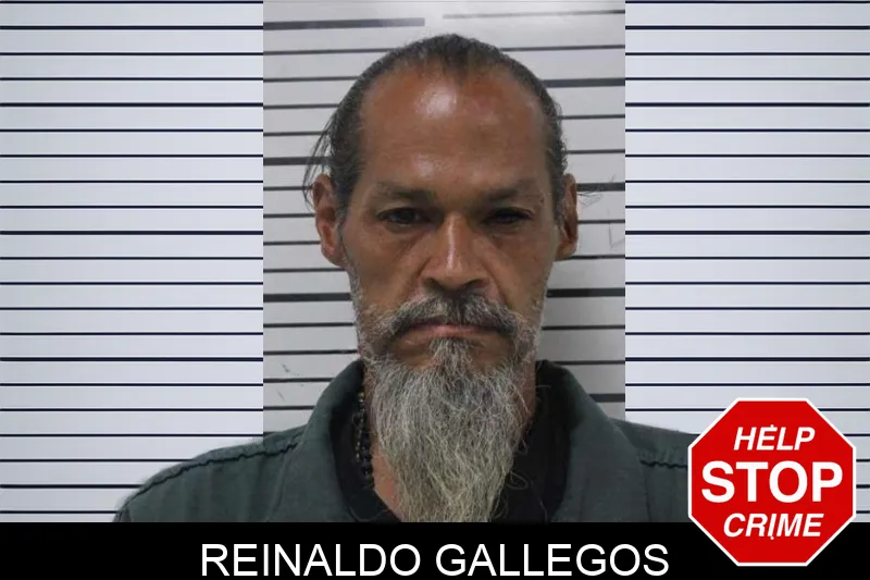 Reinaldo Gallegos mugshot