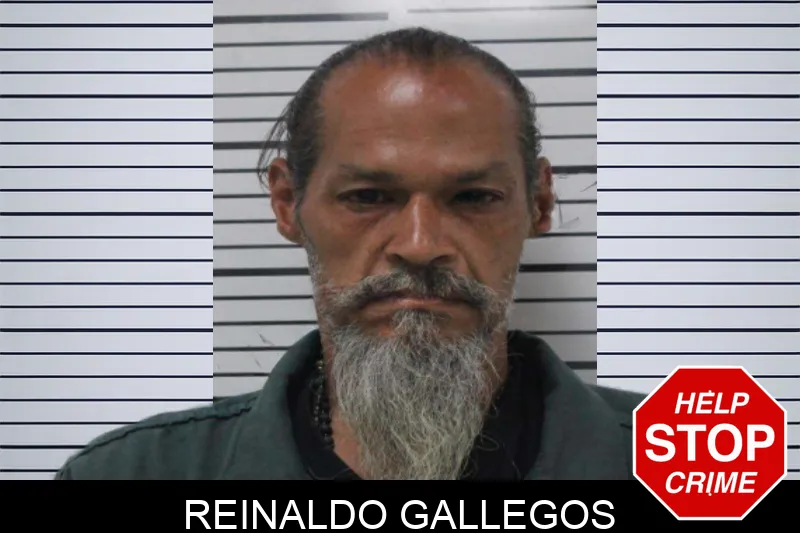 Reinaldo Gallegos mugshot