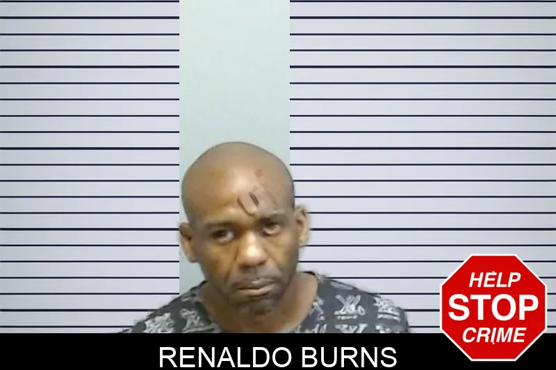 Renaldo Burns mugshot