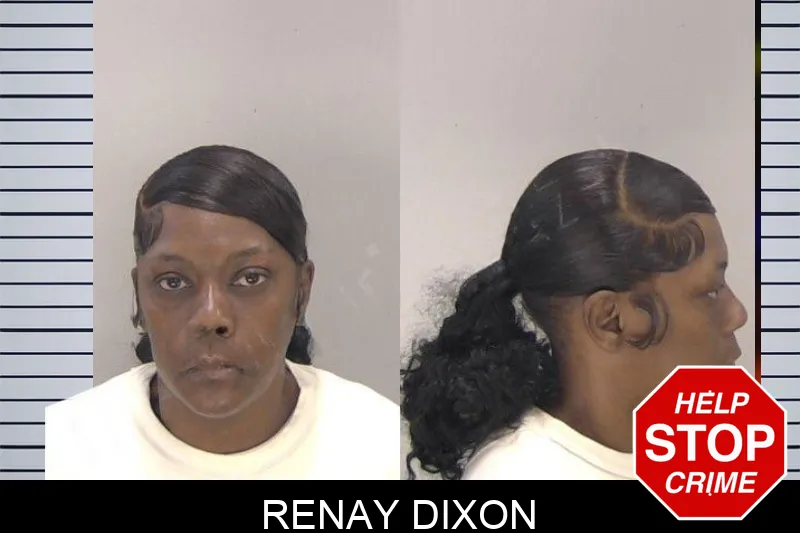 Renay Dixon mugshot