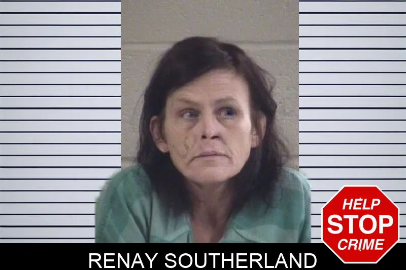 Renay Southerland mugshot
