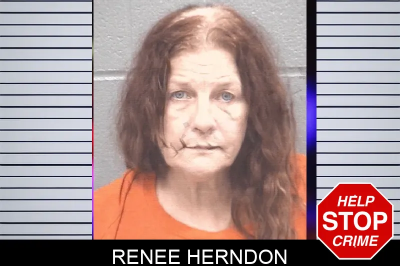 Renee Herndon mugshot