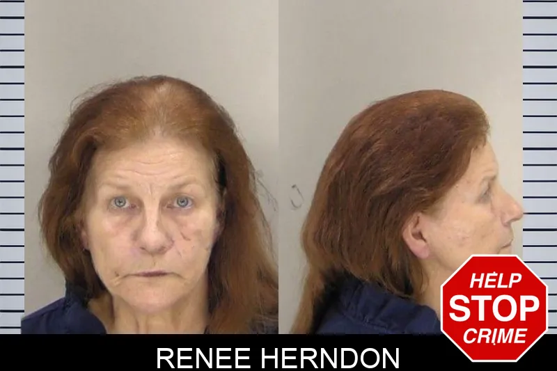 Renee Herndon mugshot
