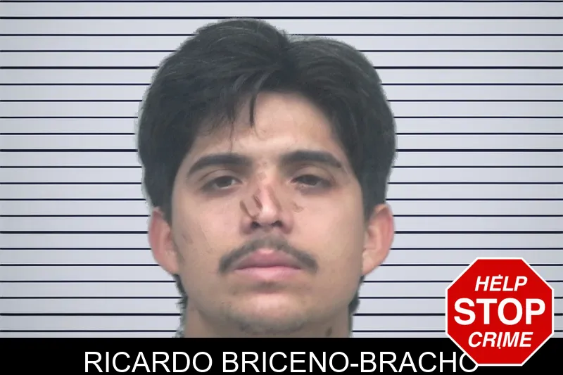 Ricardo Briceno-Bracho mugshot