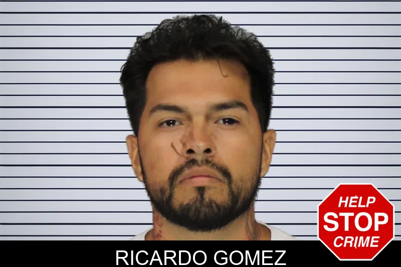 Ricardo Gomez mugshot