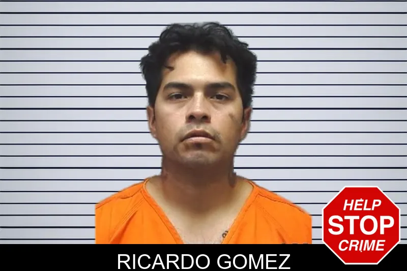 Ricardo Gomez mugshot