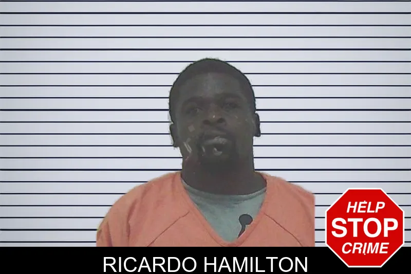 Ricardo Hamilton mugshot