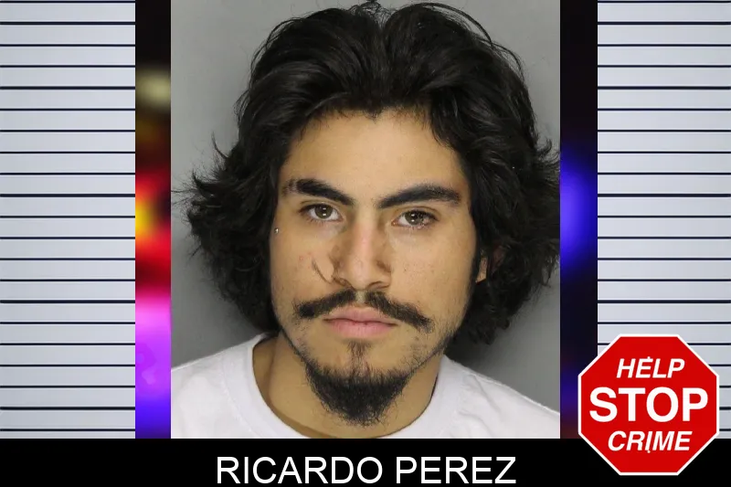 Ricardo Perez mugshot
