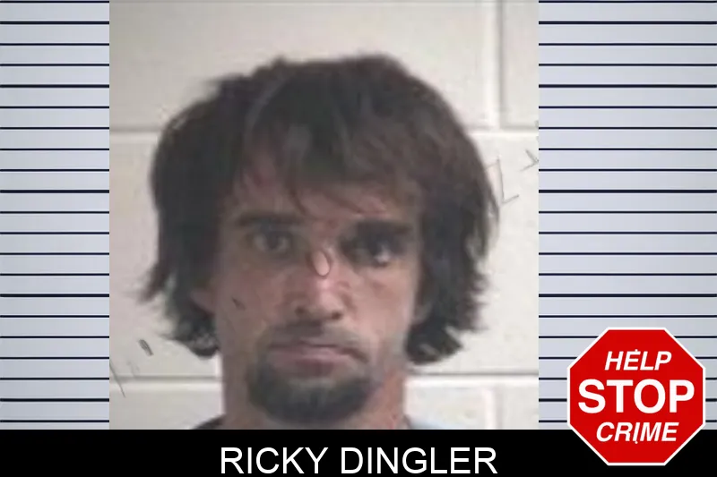 Ricky Dingler mugshot