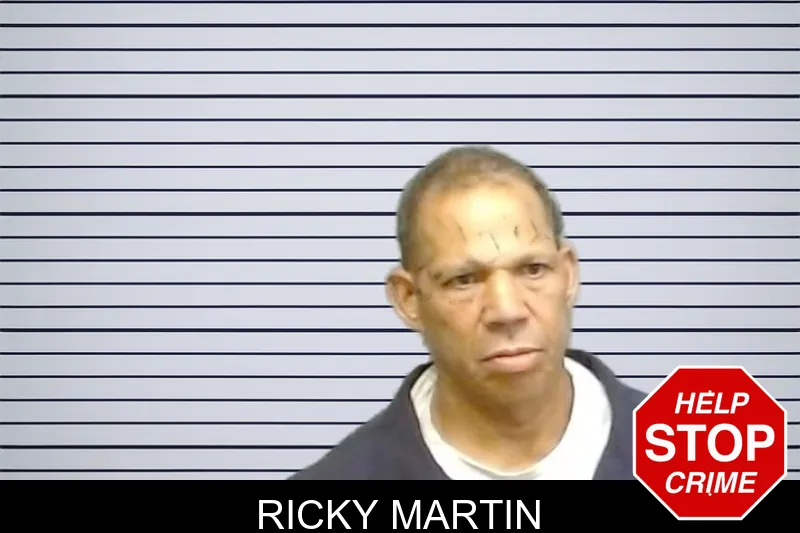 Ricky Martin mugshot