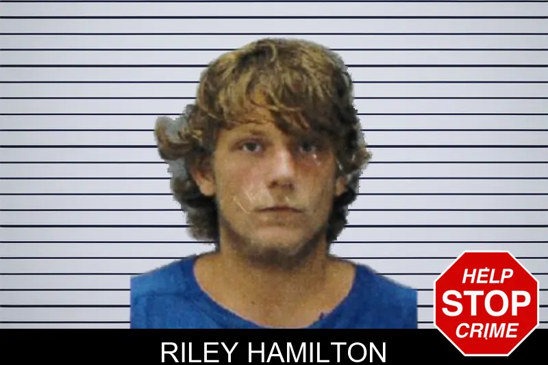 Riley Hamilton mugshot
