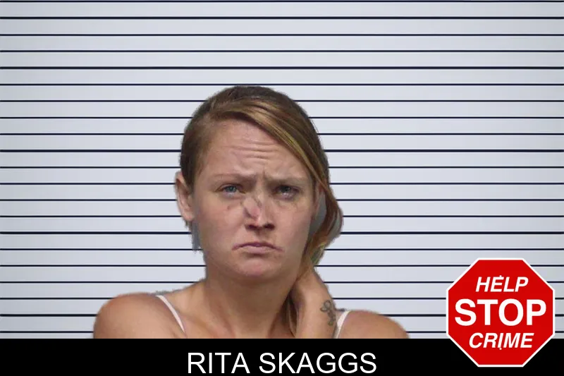 Rita Skaggs mugshot