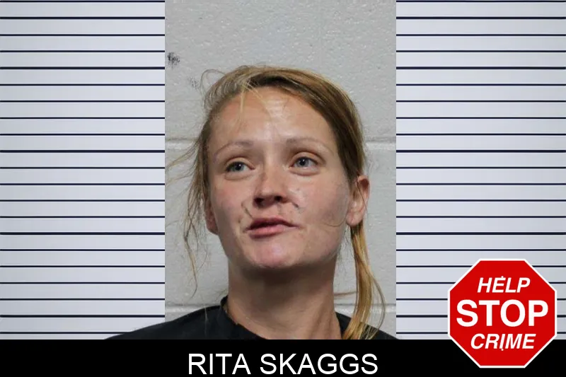 Rita Skaggs mugshot