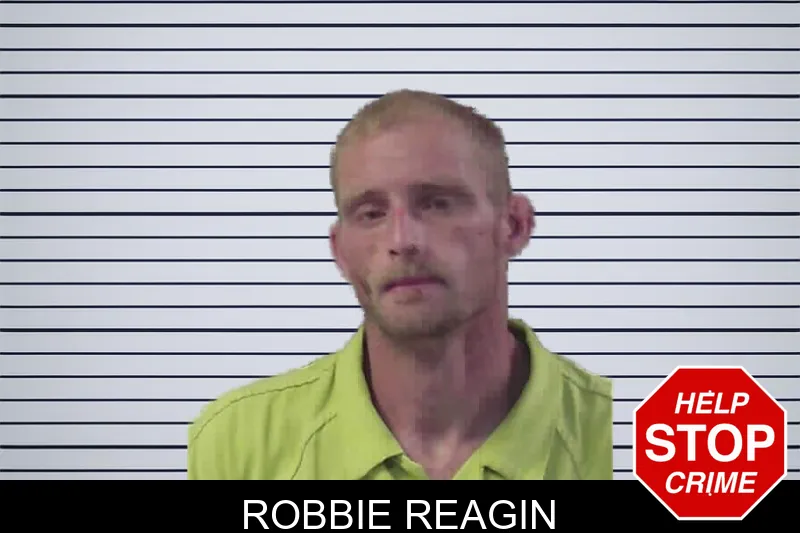 Robbie Reagin mugshot