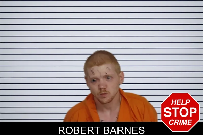 Robert Barnes mugshot
