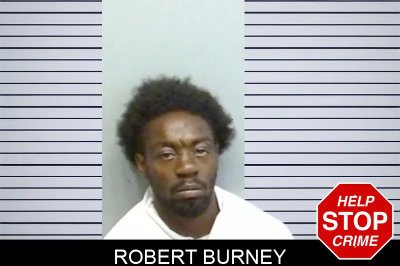 Robert Burney mugshot